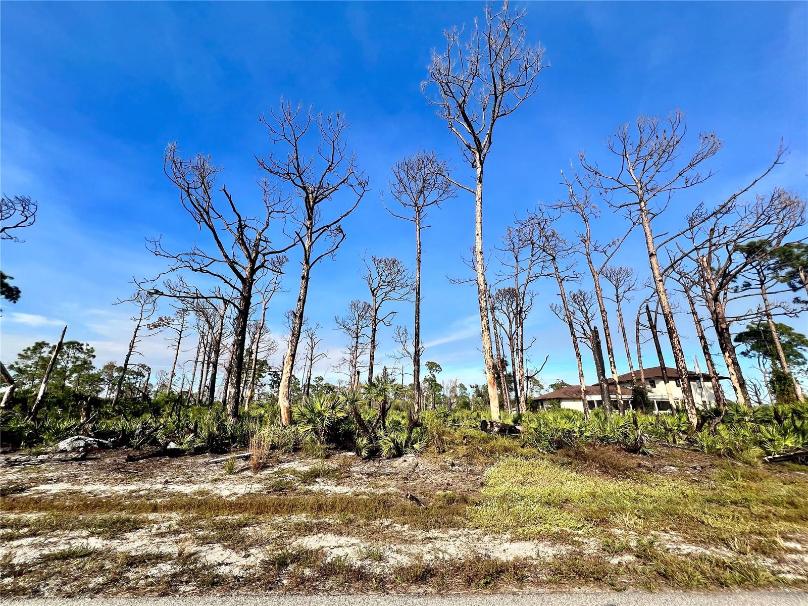 6 ADRIFT CT, PLACIDA, FL