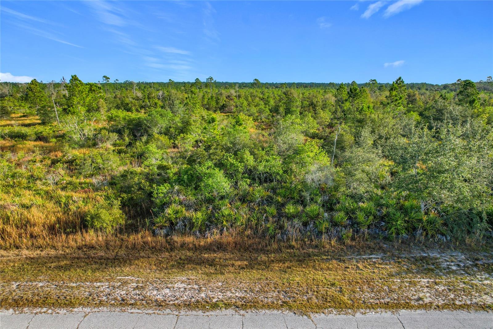 LOT 81 MEADOW LARK BLVD, LAKE WALES, FL — photo 5