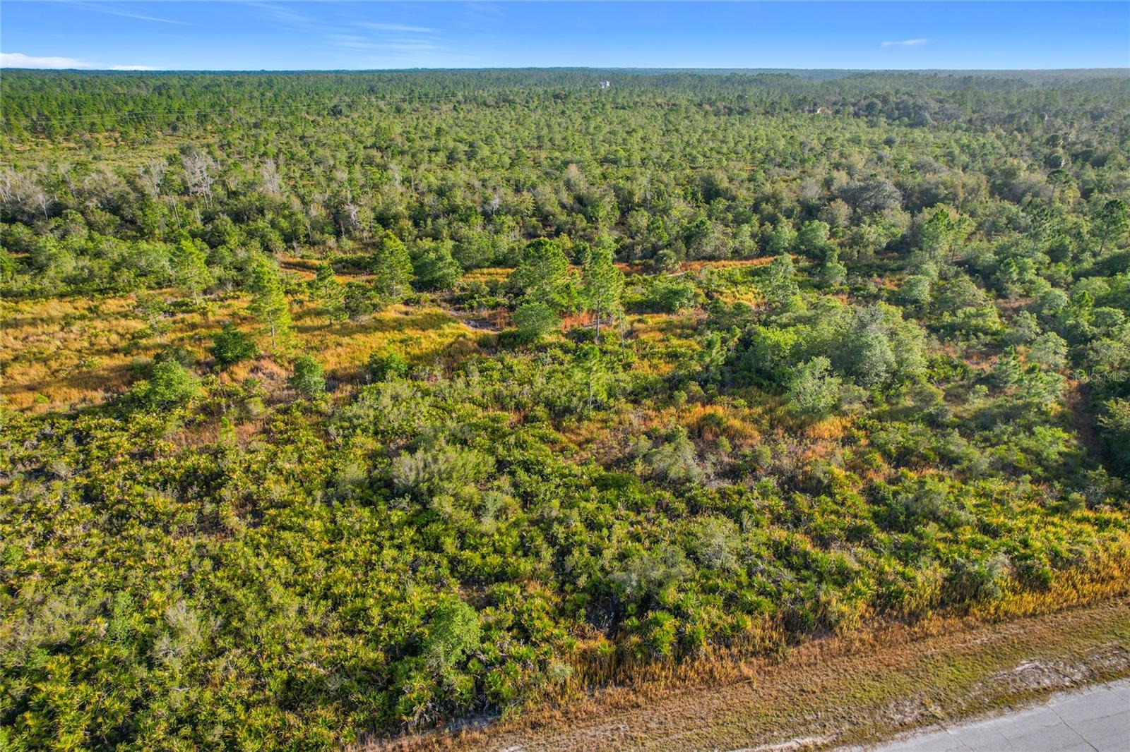 LOT 81 MEADOW LARK BLVD, LAKE WALES, FL — photo 23