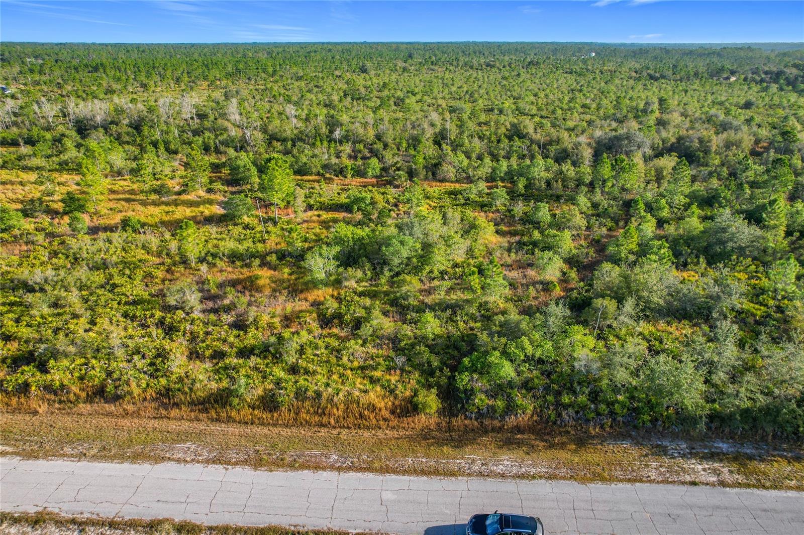 LOT 81 MEADOW LARK BLVD, LAKE WALES, FL — photo 25