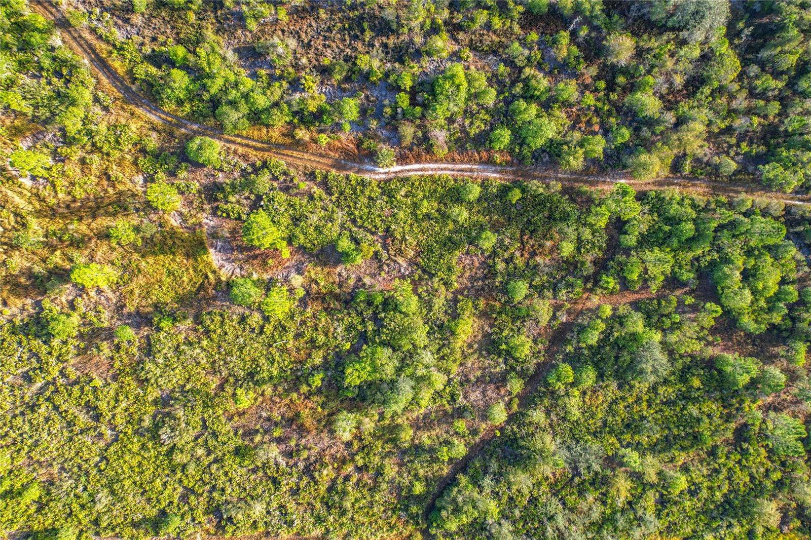LOT 81 MEADOW LARK BLVD, LAKE WALES, FL — photo 27