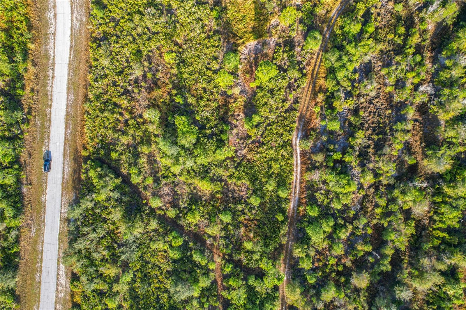 LOT 81 MEADOW LARK BLVD, LAKE WALES, FL — photo 29