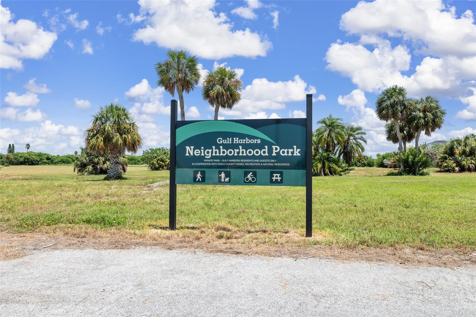 4926 SHELL STREAM BLVD, NEW PORT RICHEY, FL — photo 21