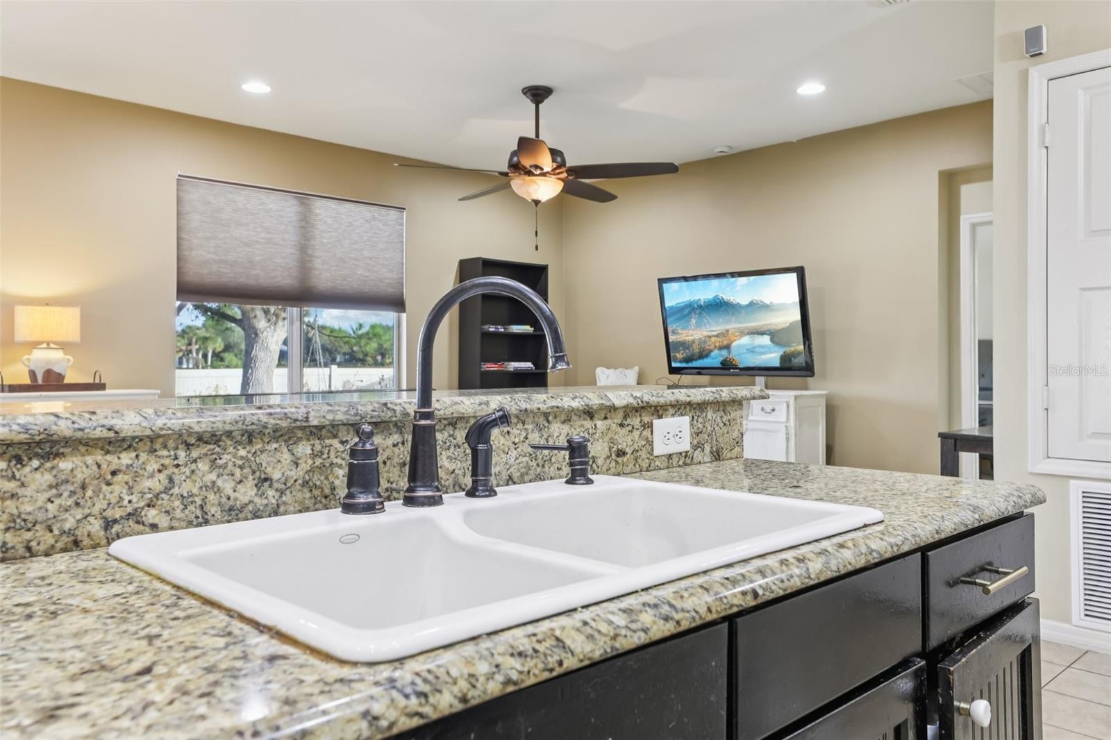 1689 STRATHMORE CIR, MOUNT DORA, FL — photo 24