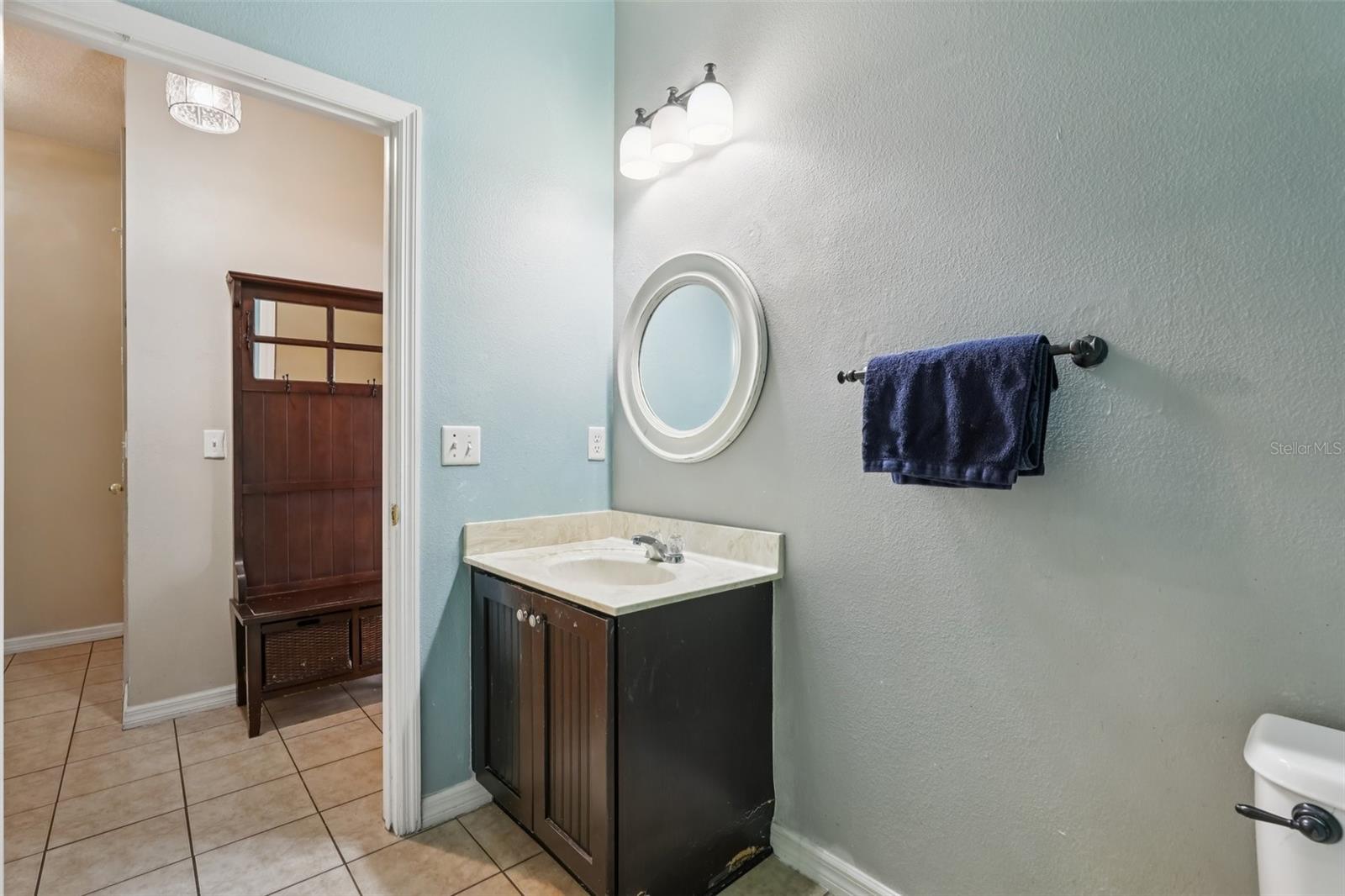 1689 STRATHMORE CIR, MOUNT DORA, FL — photo 34