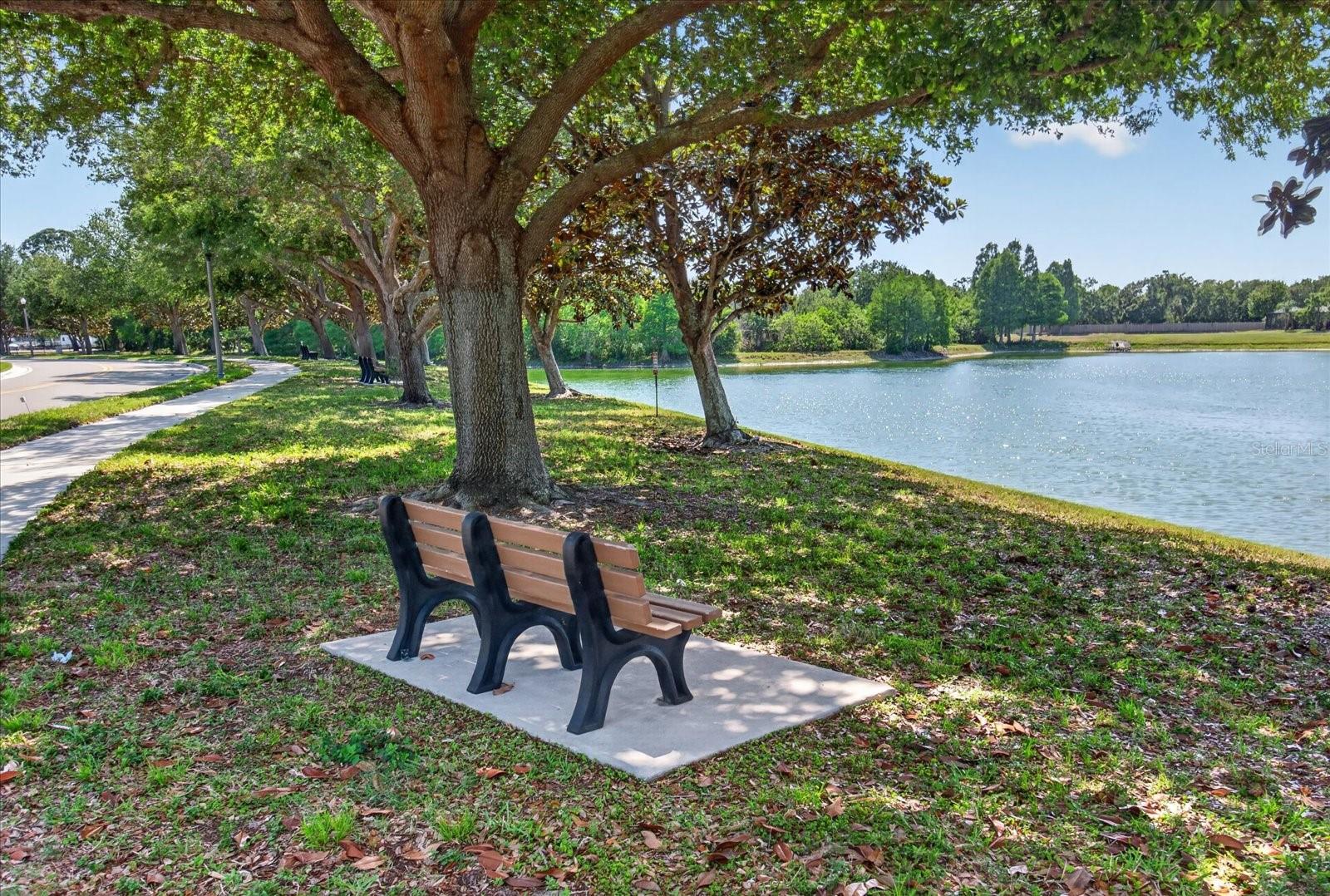 2153 BARRACUDA CT, HOLIDAY, FL — photo 34