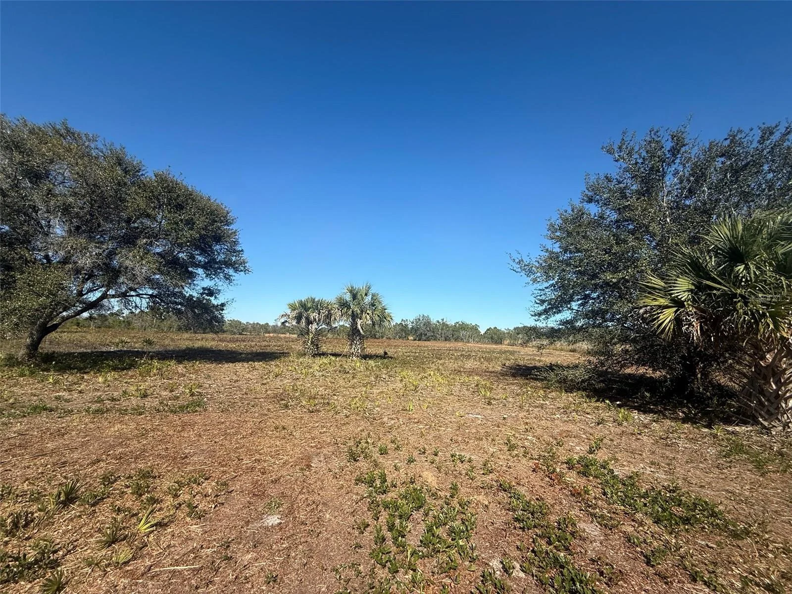 17065 NW 306TH ST, OKEECHOBEE, FL — photo 11