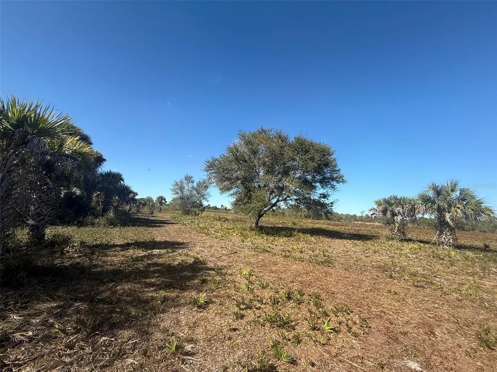 17065 NW 306TH ST, OKEECHOBEE, FL — photo 12