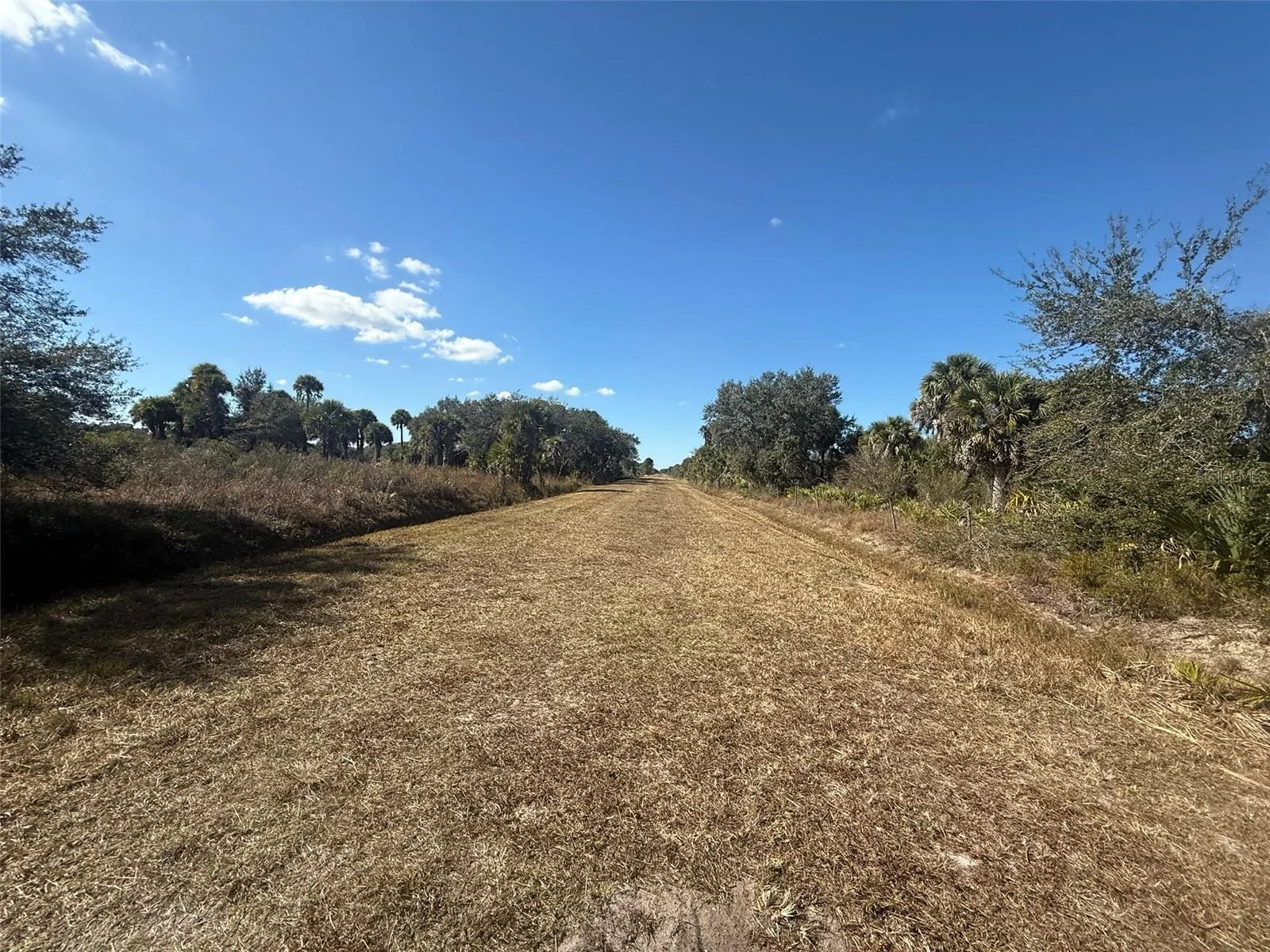 17065 NW 306TH ST, OKEECHOBEE, FL — photo 15