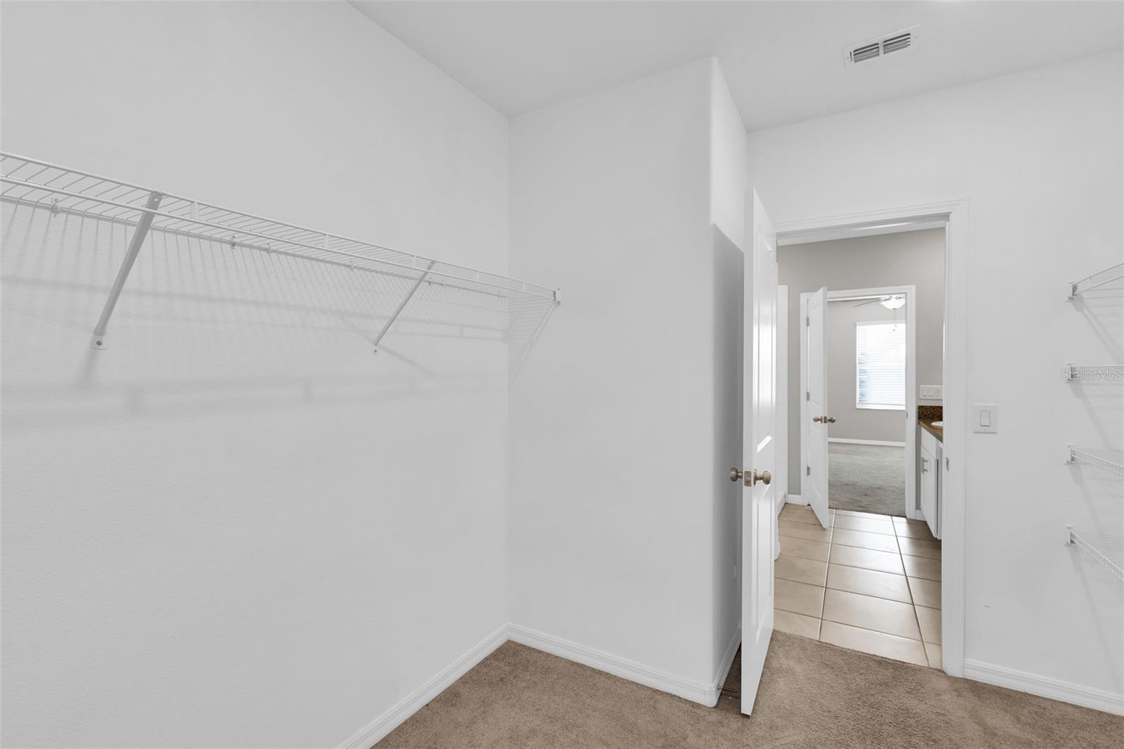 5204 WHITE CHICORY DR, APOLLO BEACH, FL — photo 24