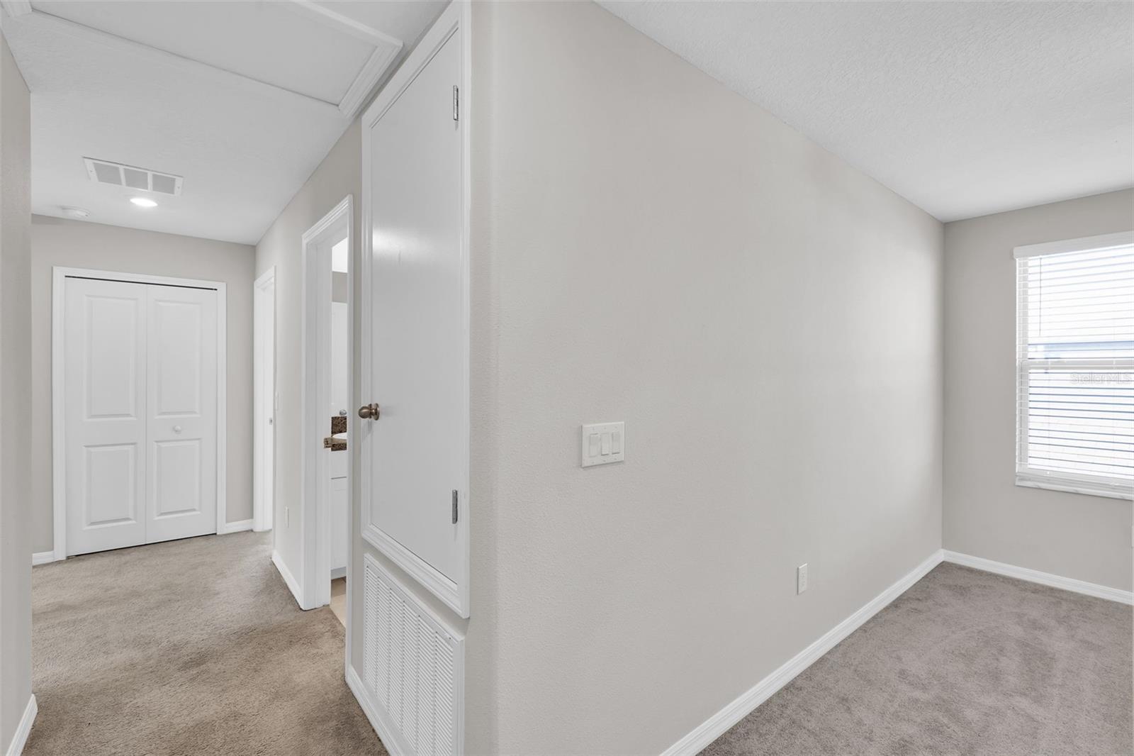 5204 WHITE CHICORY DR, APOLLO BEACH, FL — photo 45