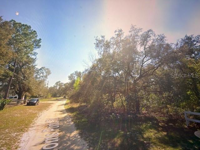 TOMS POND RD, EUSTIS, FL — photo 3