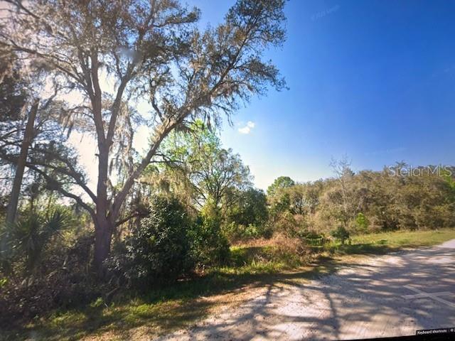 TOMS POND RD, EUSTIS, FL — photo 5