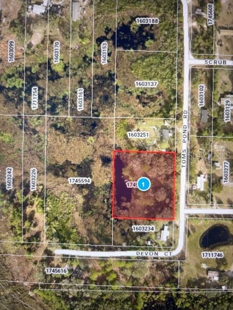 TOMS POND RD, EUSTIS, FL — photo 9