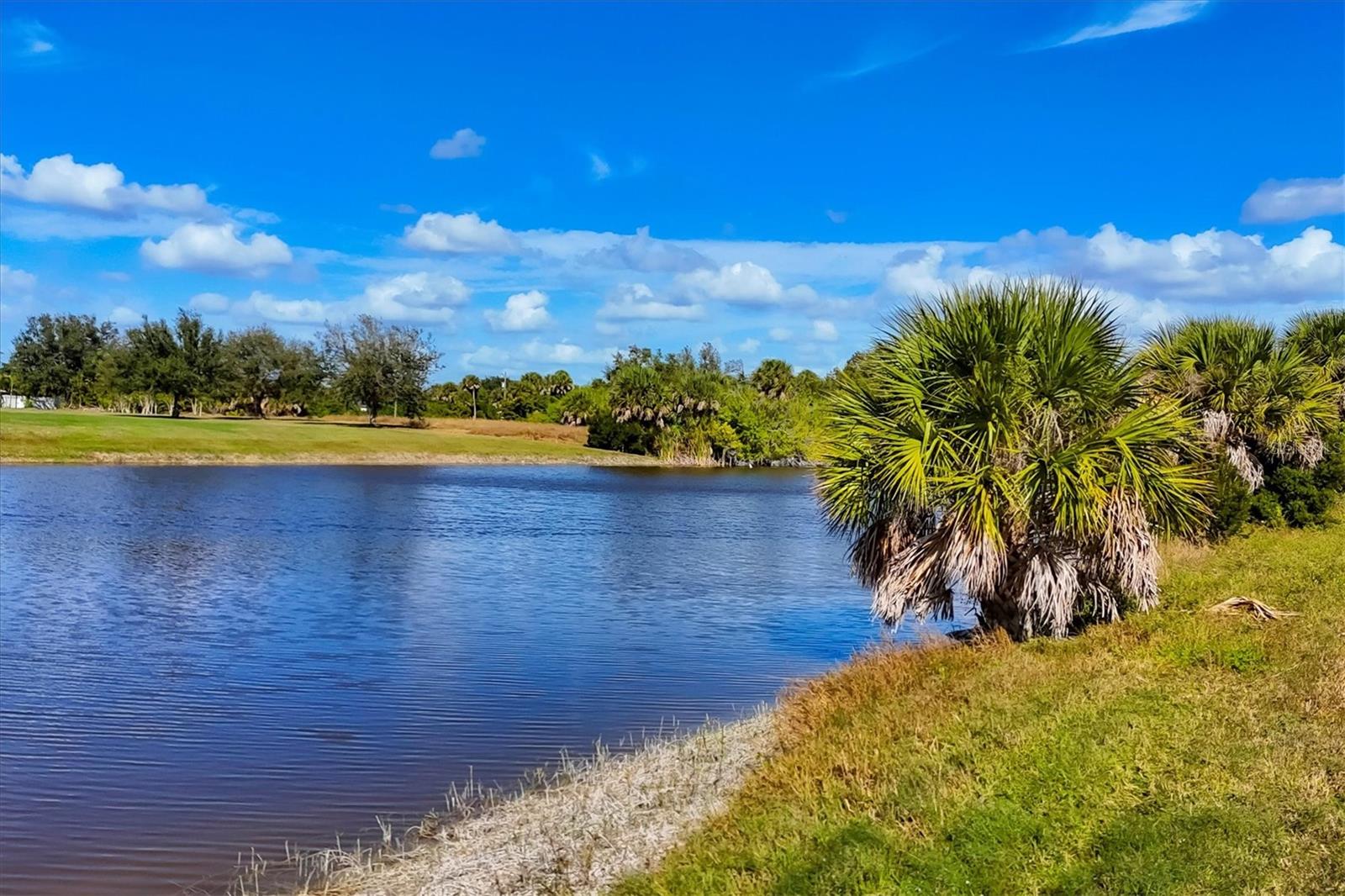 337 BOUNDARY BLVD, ROTONDA WEST, FL — photo 98
