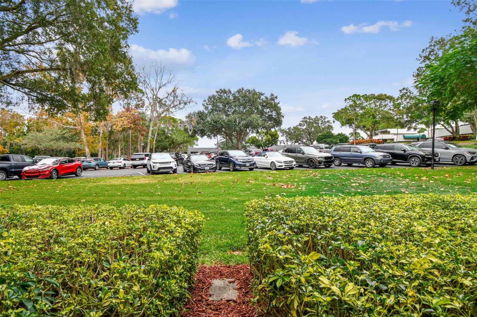 36750 US HIGHWAY 19 N #03106, PALM HARBOR, FL — photo 58