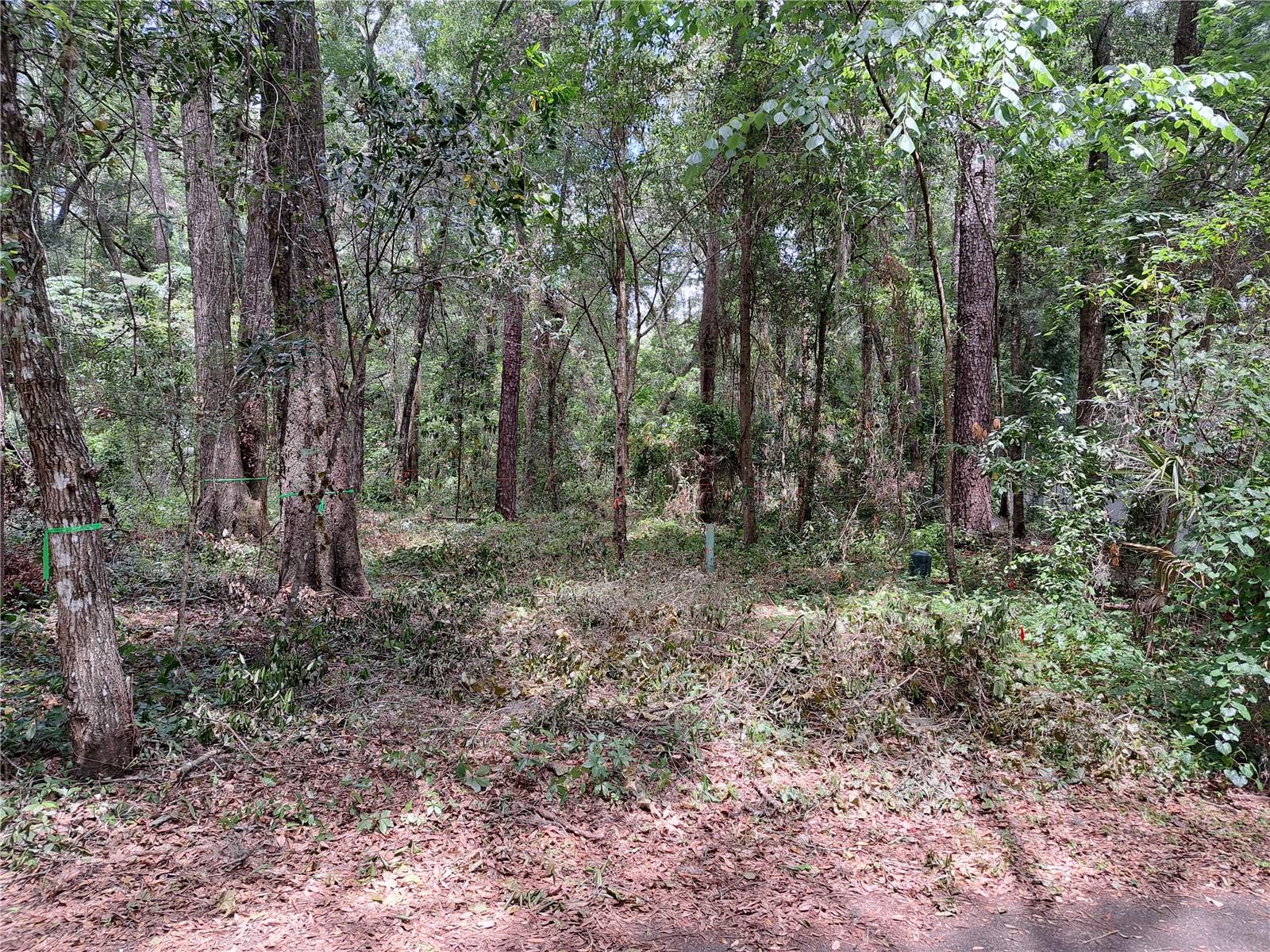 2164 SW 37TH CT, GAINESVILLE, FL