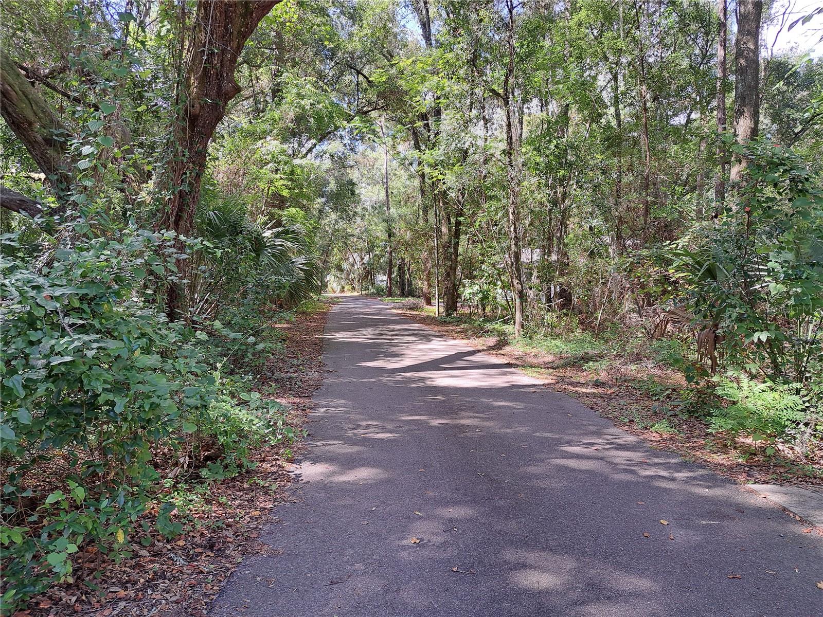 2164 SW 37TH CT, GAINESVILLE, FL — photo 9