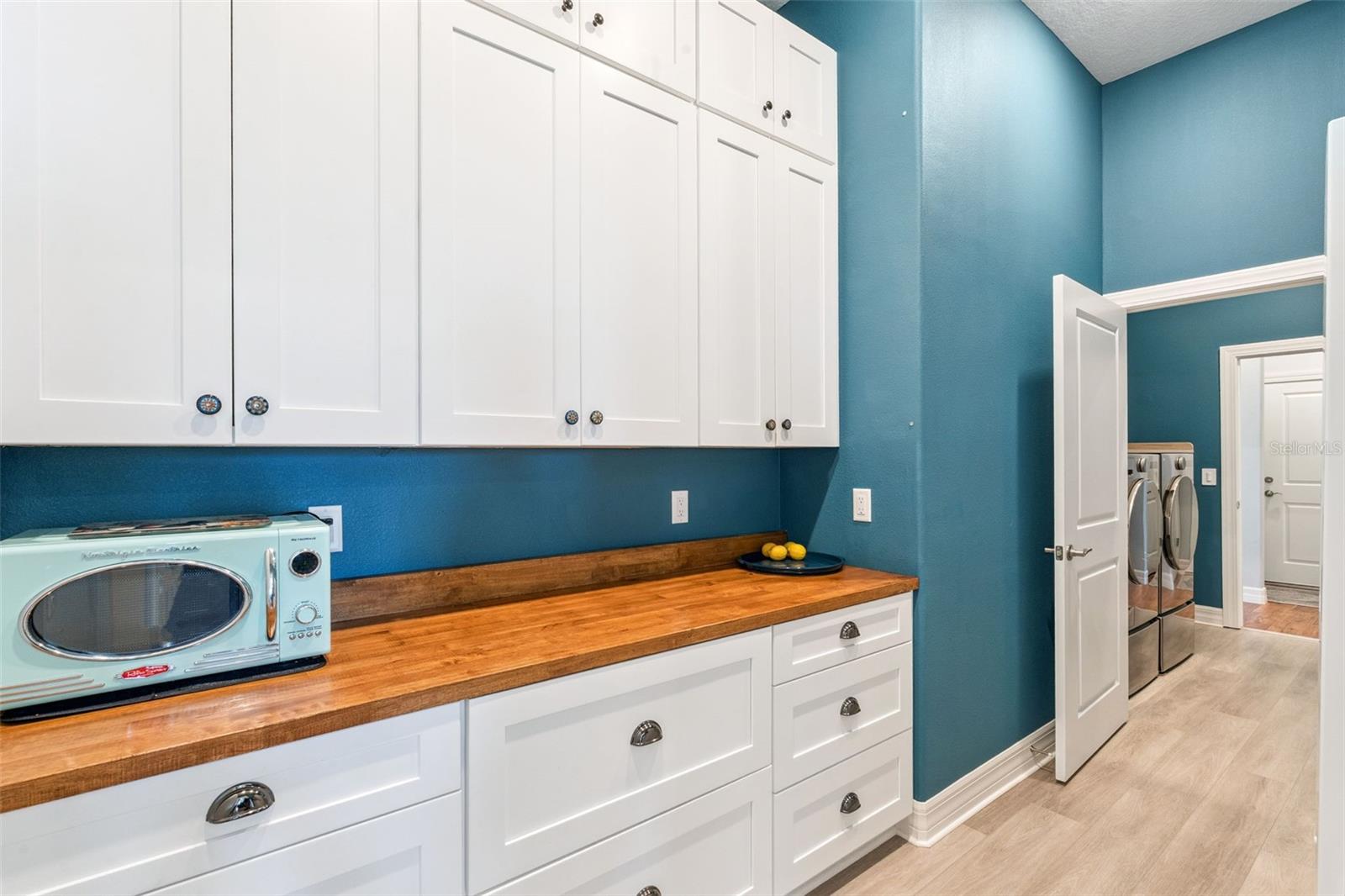 1517 EVENING SUMMIT CIR, MINNEOLA, FL — photo 13