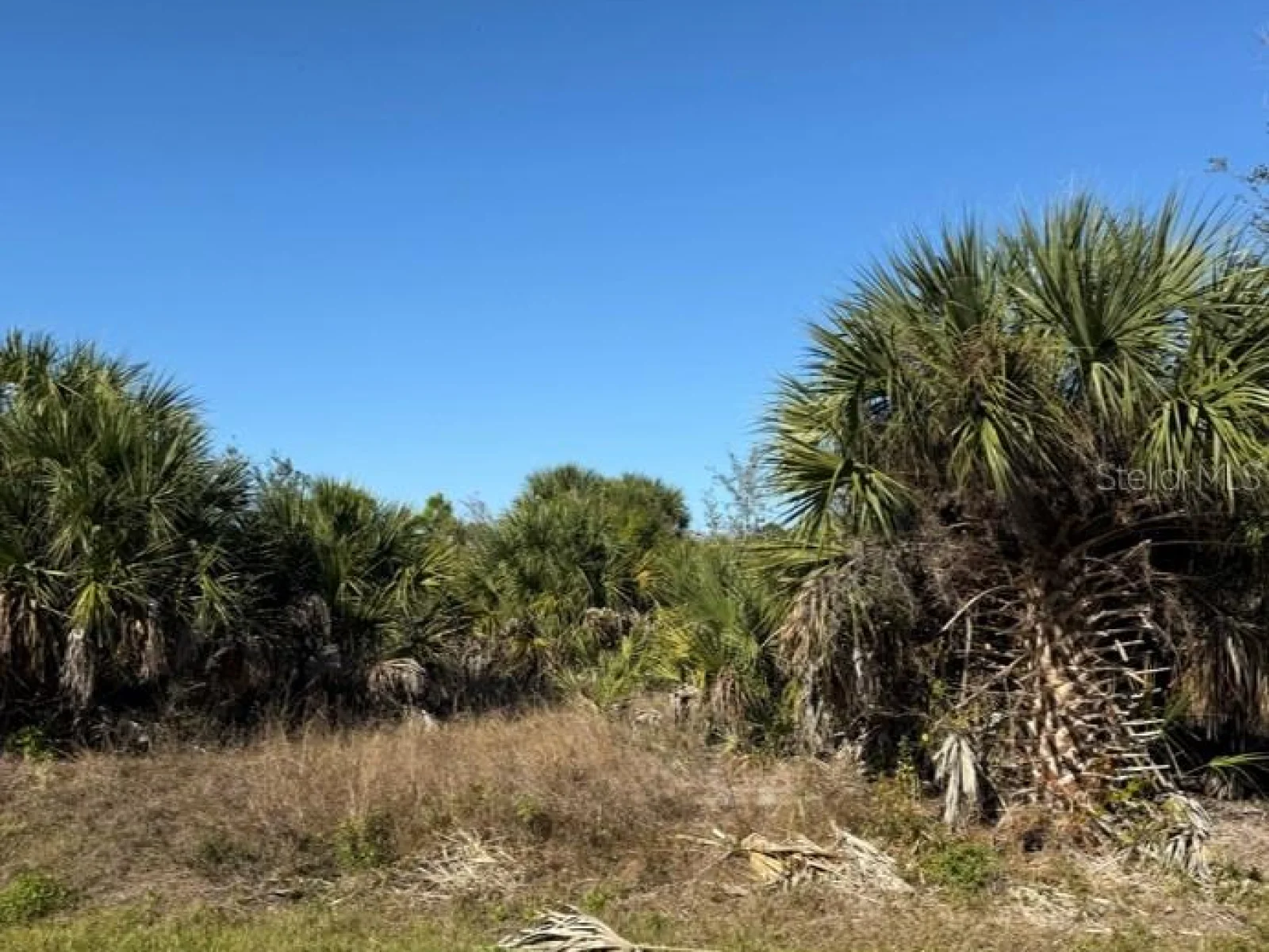 15401 HENNIPEN CIR, PORT CHARLOTTE, FL — photo 2