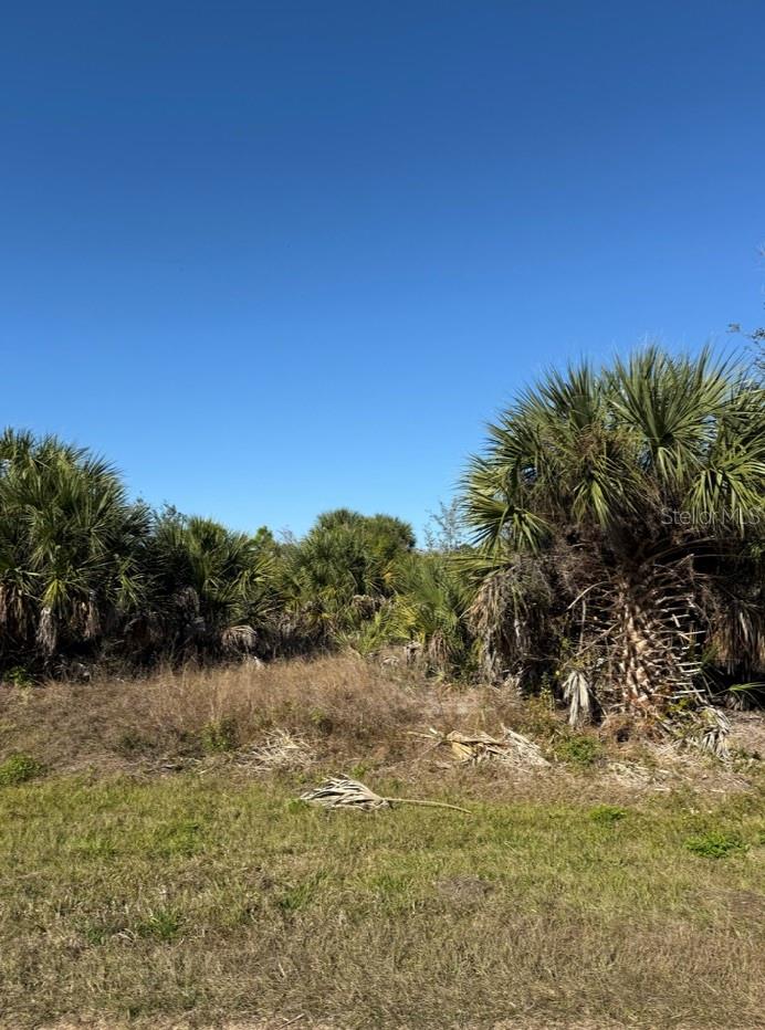 15401 HENNIPEN CIR, PORT CHARLOTTE, FL