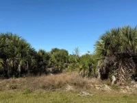 15401 HENNIPEN CIR — photo 4