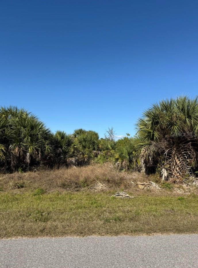 15401 HENNIPEN CIR, PORT CHARLOTTE, FL — photo 3