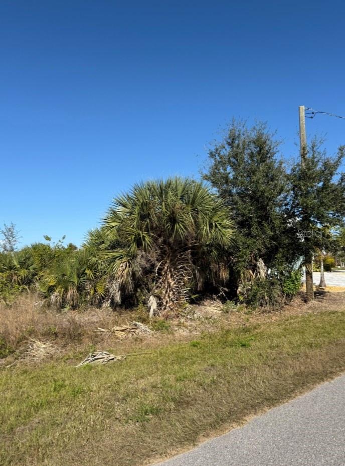 15401 HENNIPEN CIR, PORT CHARLOTTE, FL — photo 5