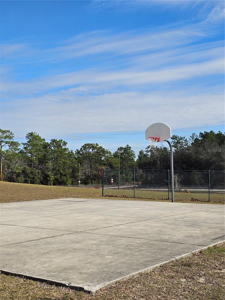 TBD SE 136TH TER, DUNNELLON, FL — photo 9