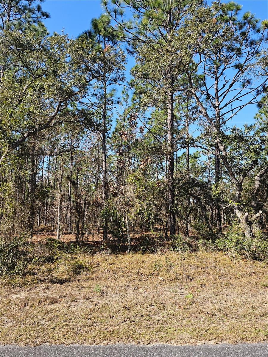 TBD SE 136TH TER, DUNNELLON, FL
