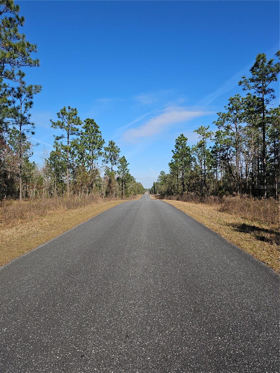 TBD SE 136TH TER, DUNNELLON, FL — photo 2