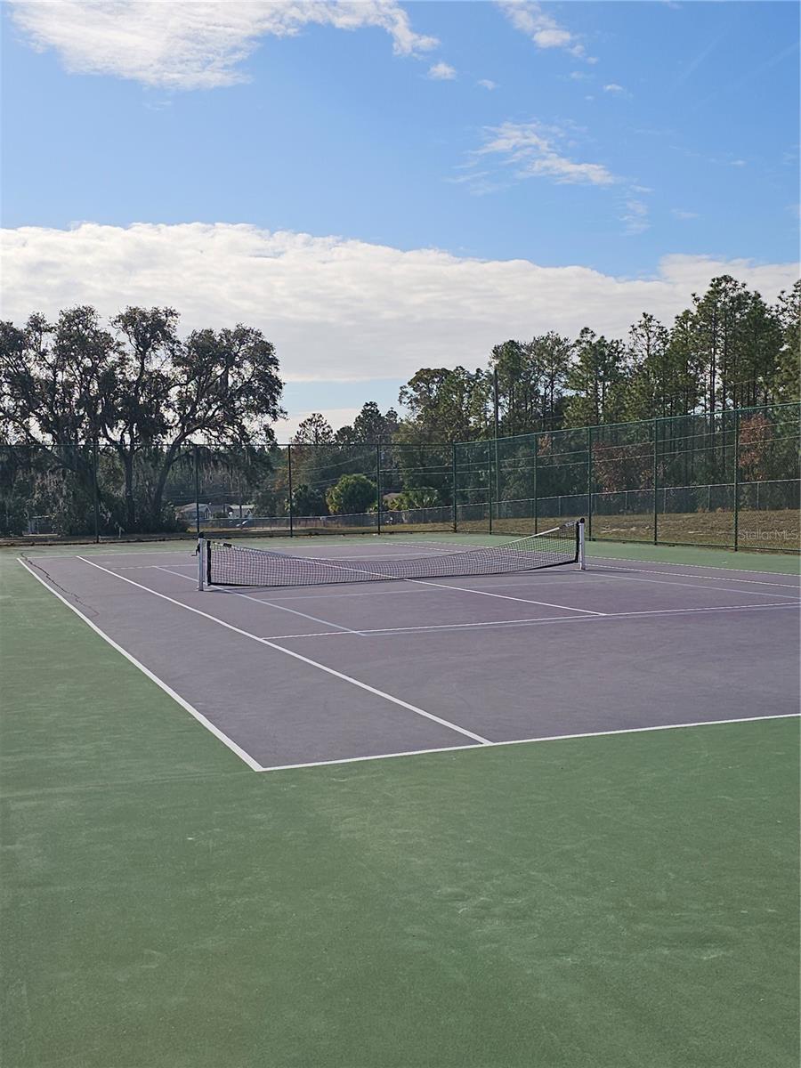 TBD SE 136TH TER, DUNNELLON, FL — photo 7