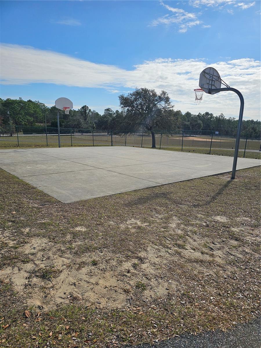 TBD SE 136TH TER, DUNNELLON, FL — photo 8