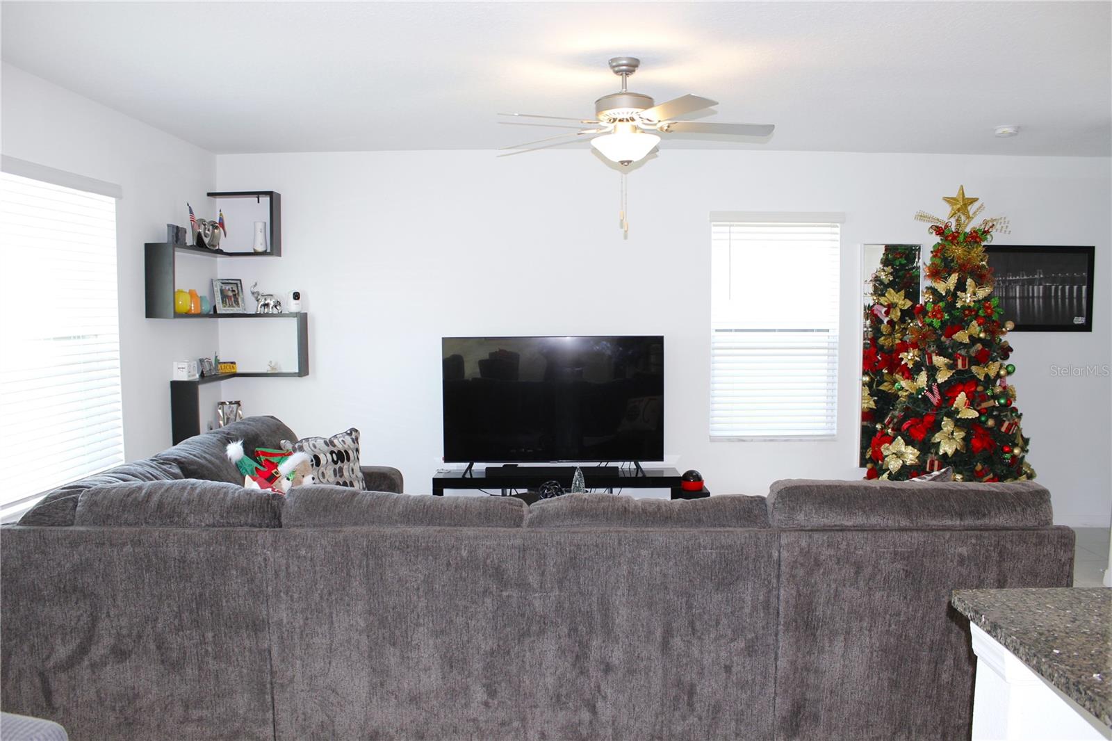 2058 STELLAR BRILLIANCE WAY, LUTZ, FL — photo 16