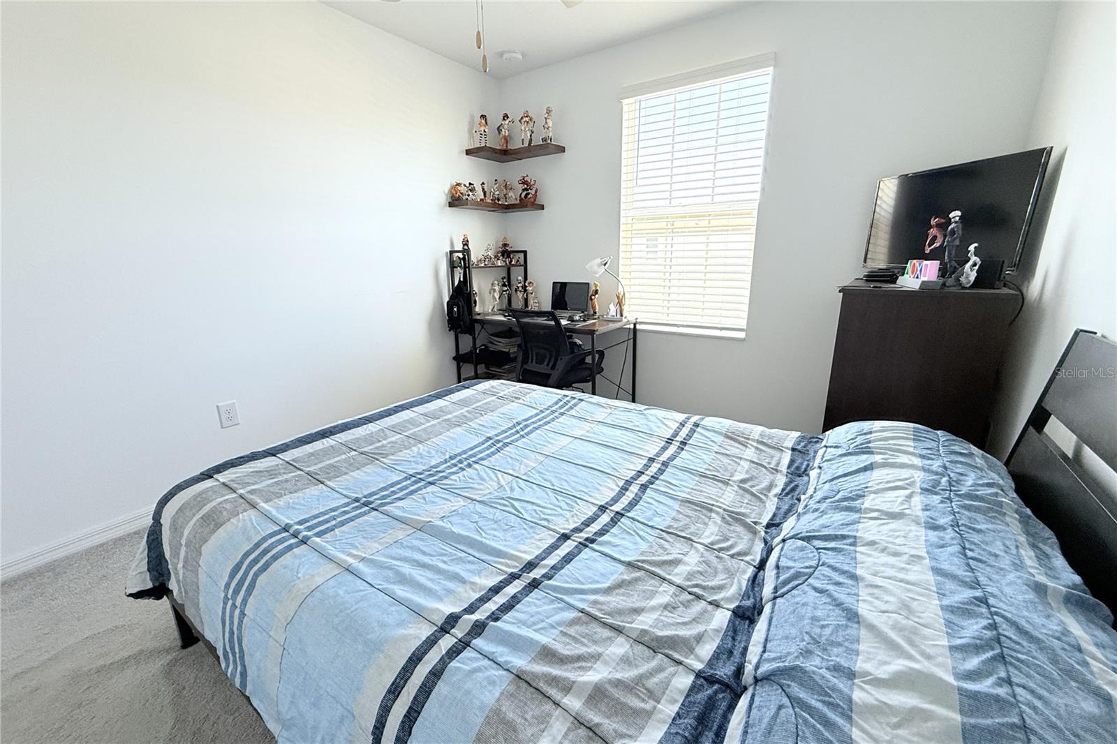 2058 STELLAR BRILLIANCE WAY, LUTZ, FL — photo 50
