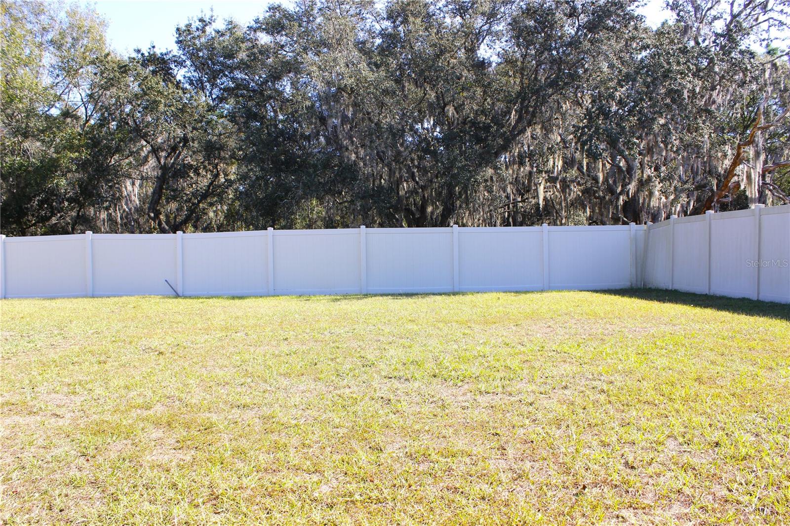 2058 STELLAR BRILLIANCE WAY, LUTZ, FL — photo 59