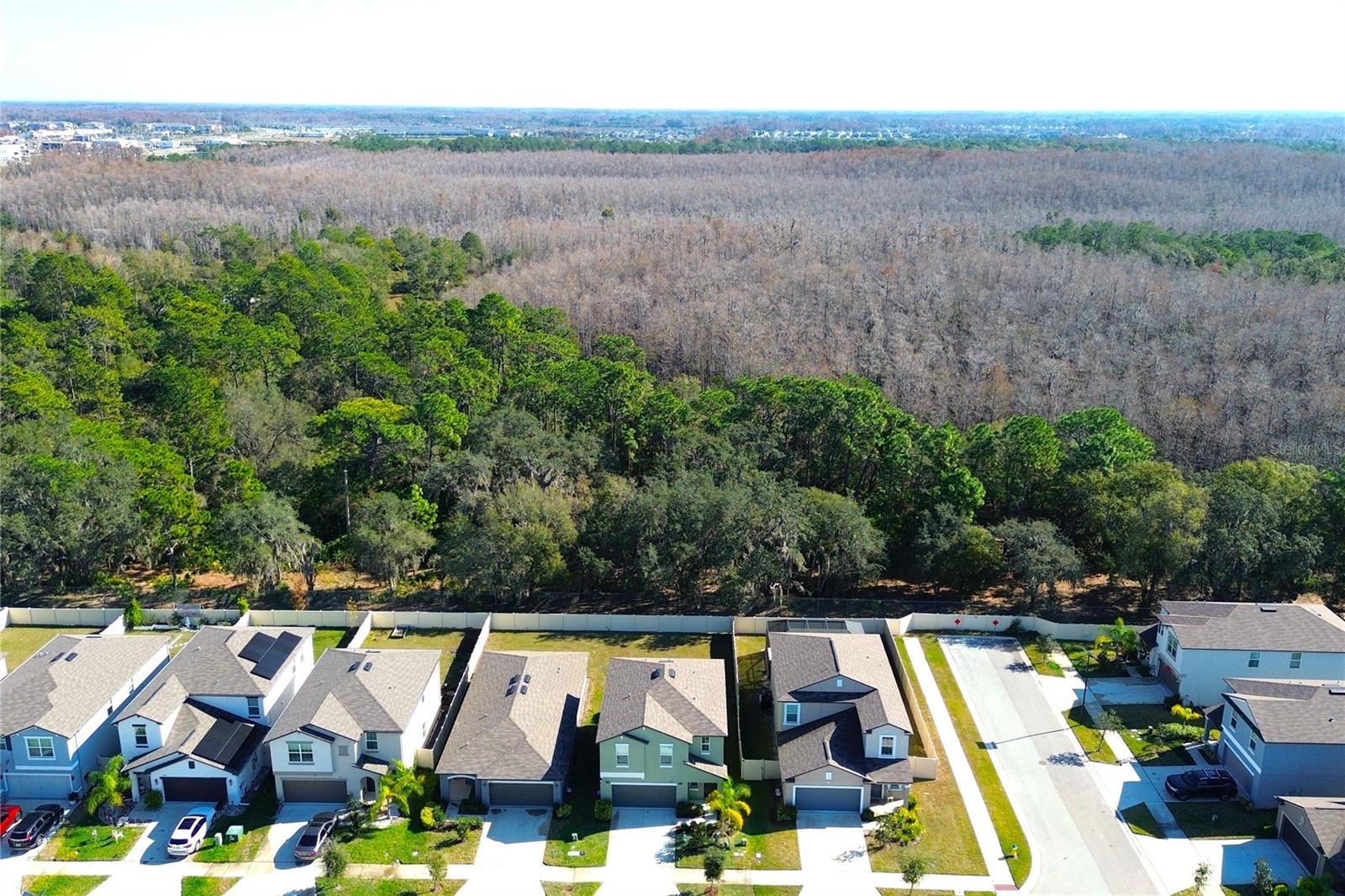 2058 STELLAR BRILLIANCE WAY, LUTZ, FL — photo 64