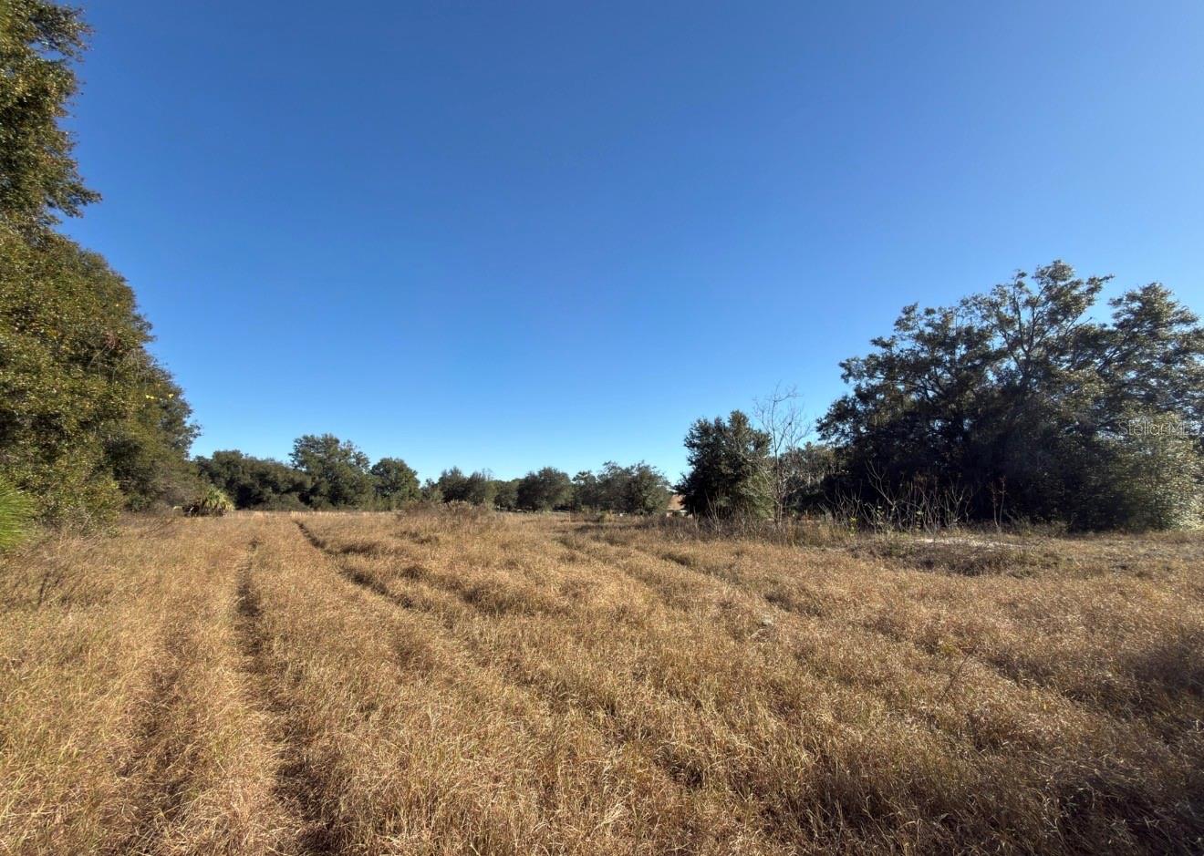 24939 COUNTY ROAD 33, GROVELAND, FL — photo 5