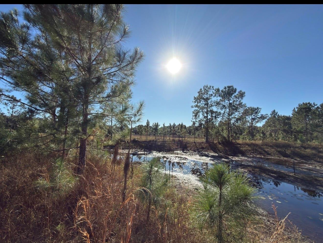 24939 COUNTY ROAD 33, GROVELAND, FL — photo 18