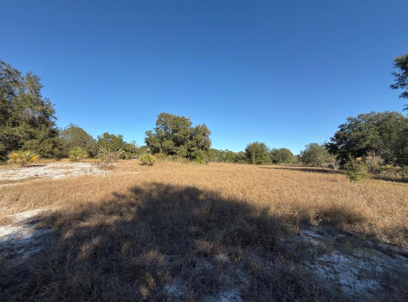 24939 COUNTY ROAD 33, GROVELAND, FL — photo 24