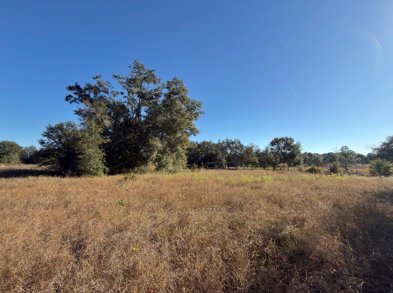 24939 COUNTY ROAD 33, GROVELAND, FL — photo 26