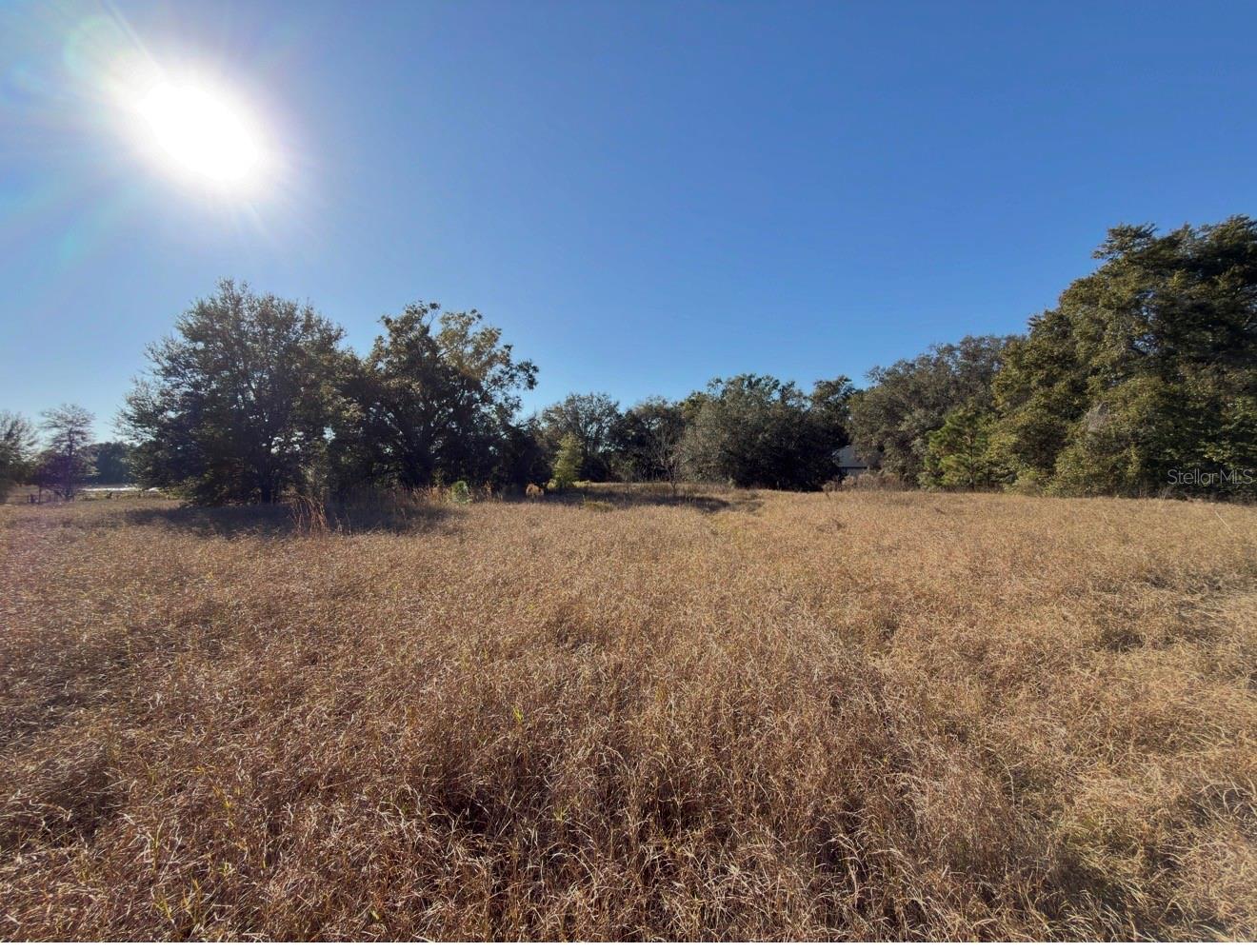 24939 COUNTY ROAD 33, GROVELAND, FL — photo 33