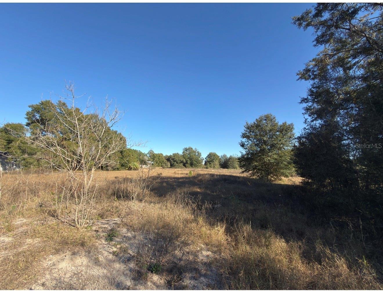 24939 COUNTY ROAD 33, GROVELAND, FL — photo 35