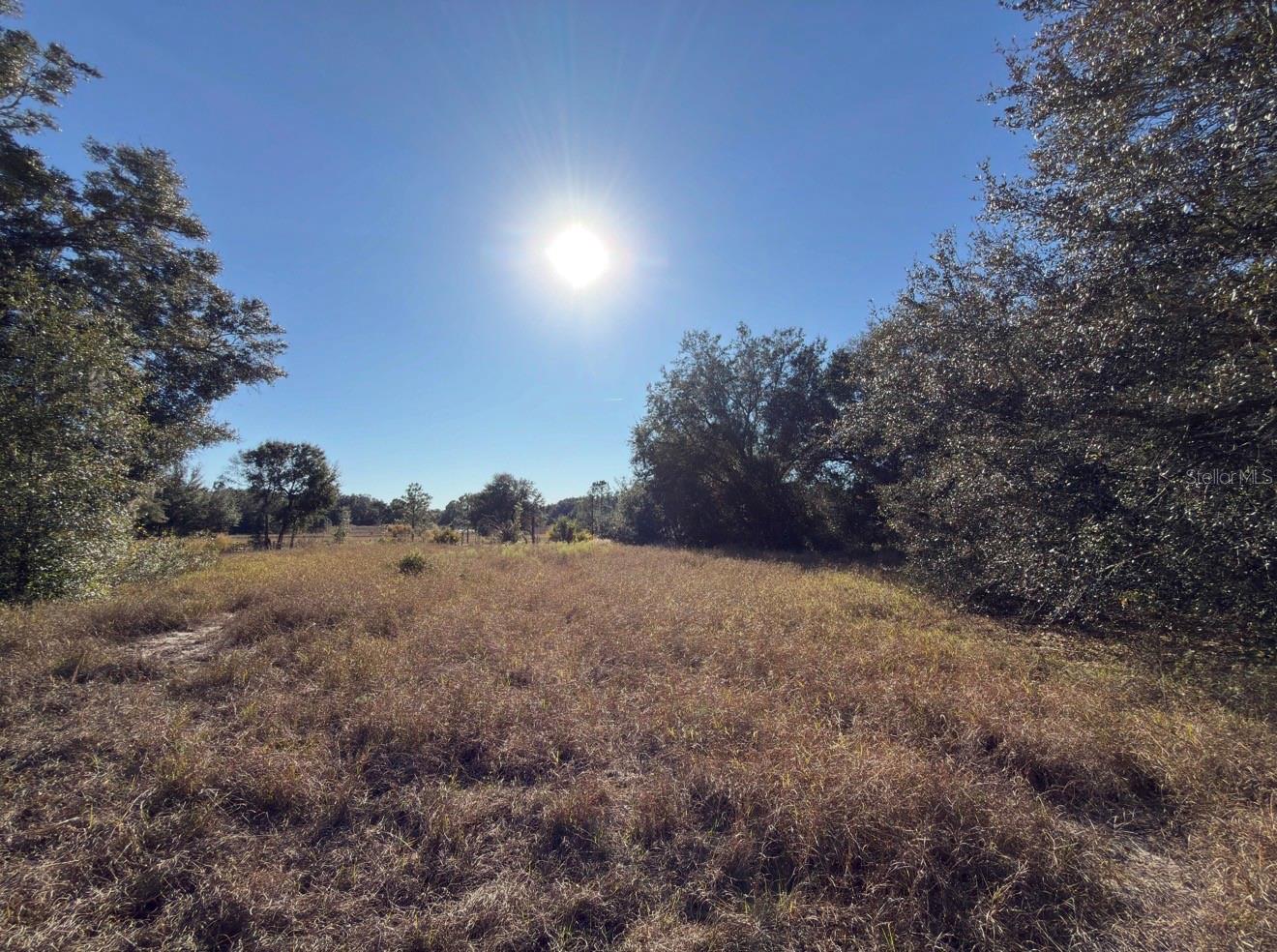24939 COUNTY ROAD 33, GROVELAND, FL — photo 37