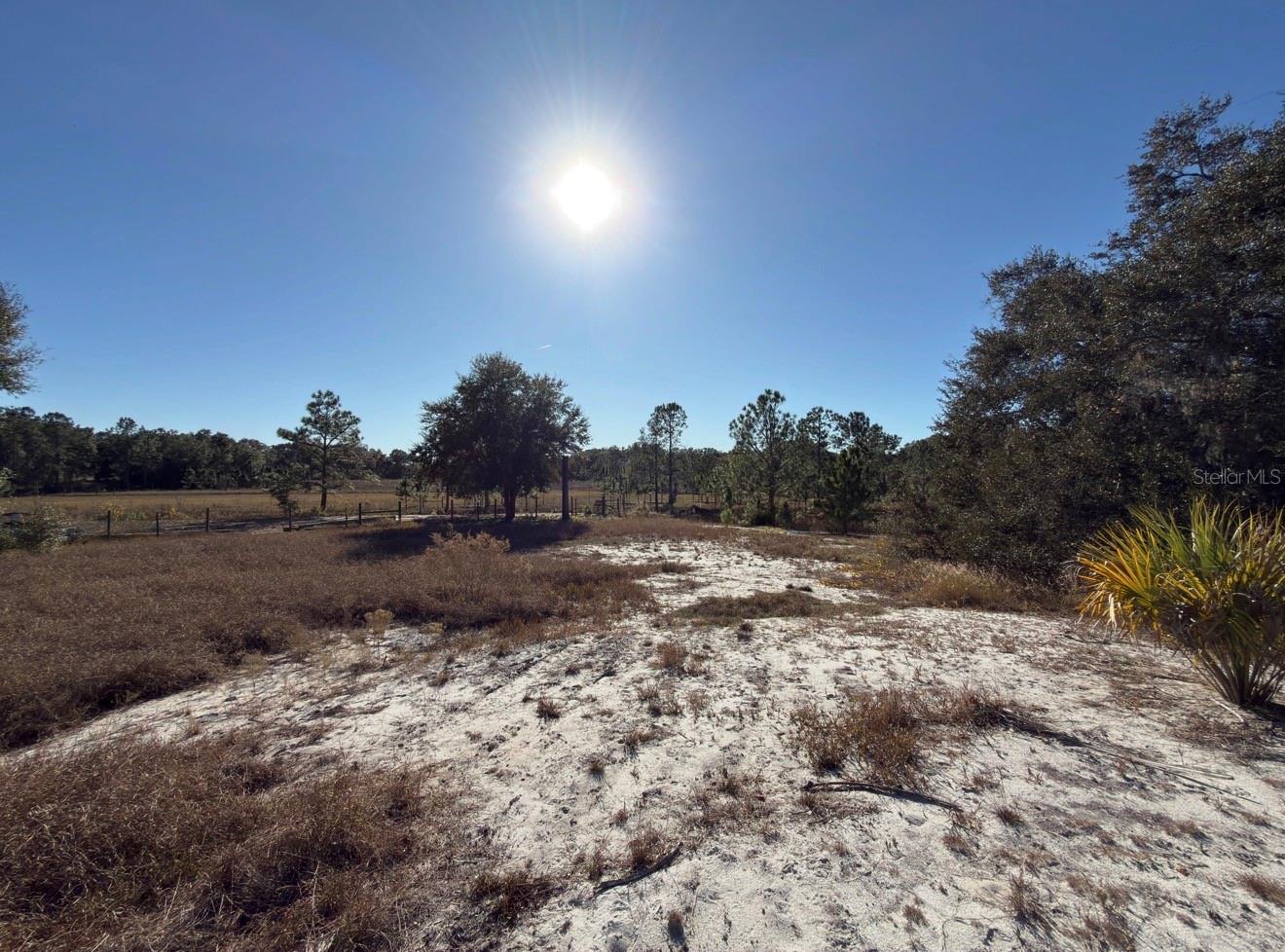 24939 COUNTY ROAD 33, GROVELAND, FL — photo 43