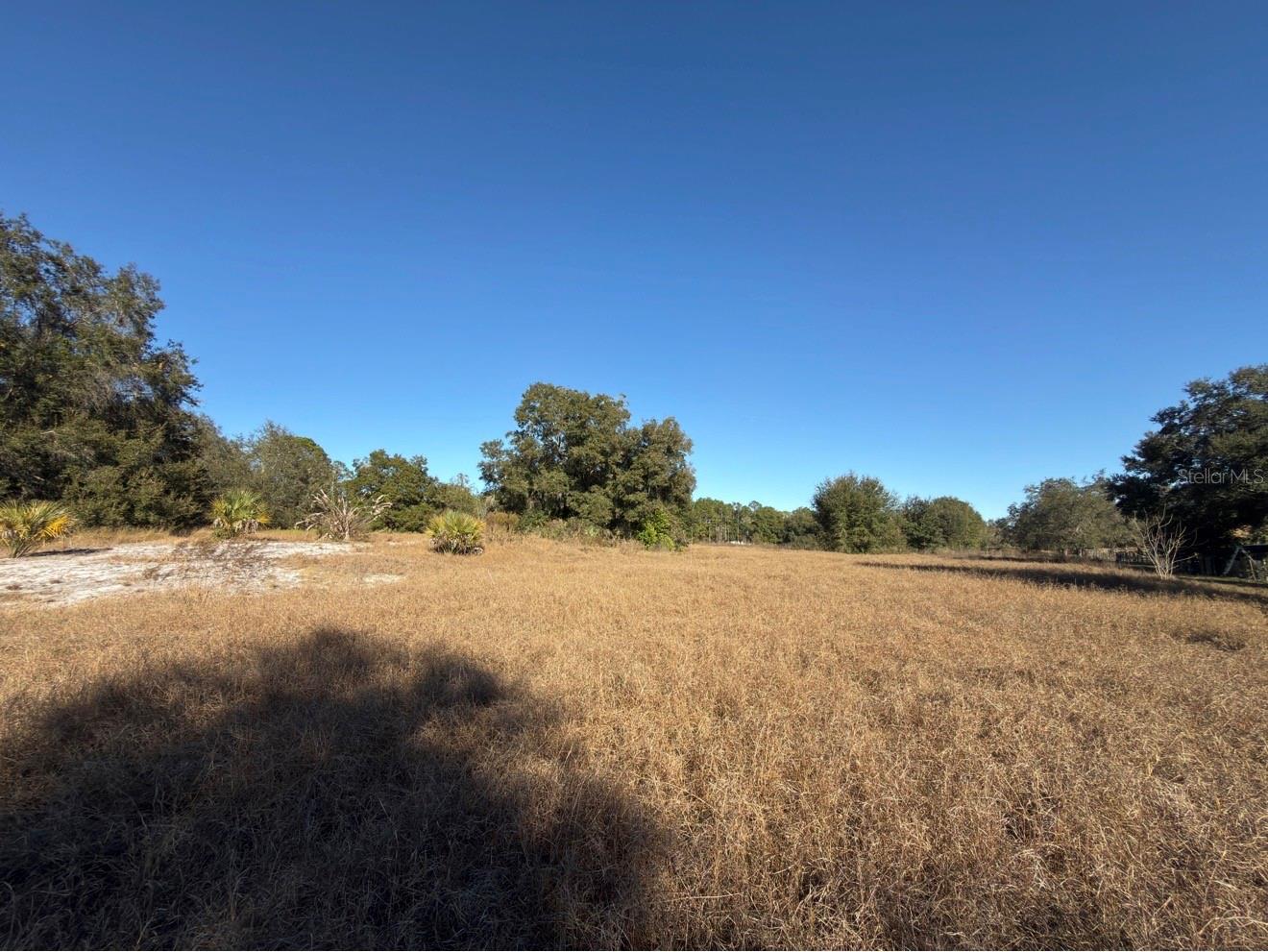 24939 COUNTY ROAD 33, GROVELAND, FL — photo 48