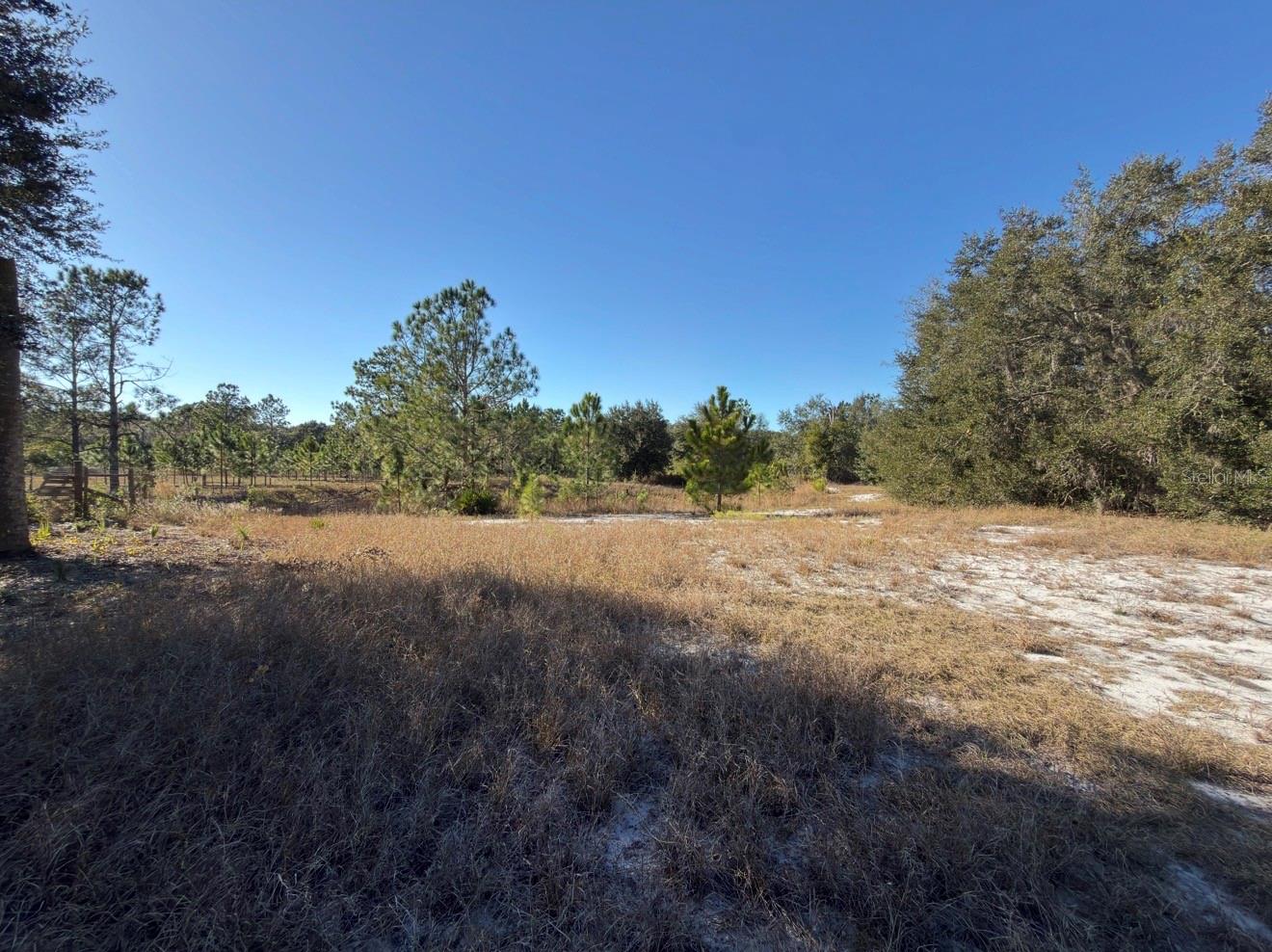 24939 COUNTY ROAD 33, GROVELAND, FL — photo 50
