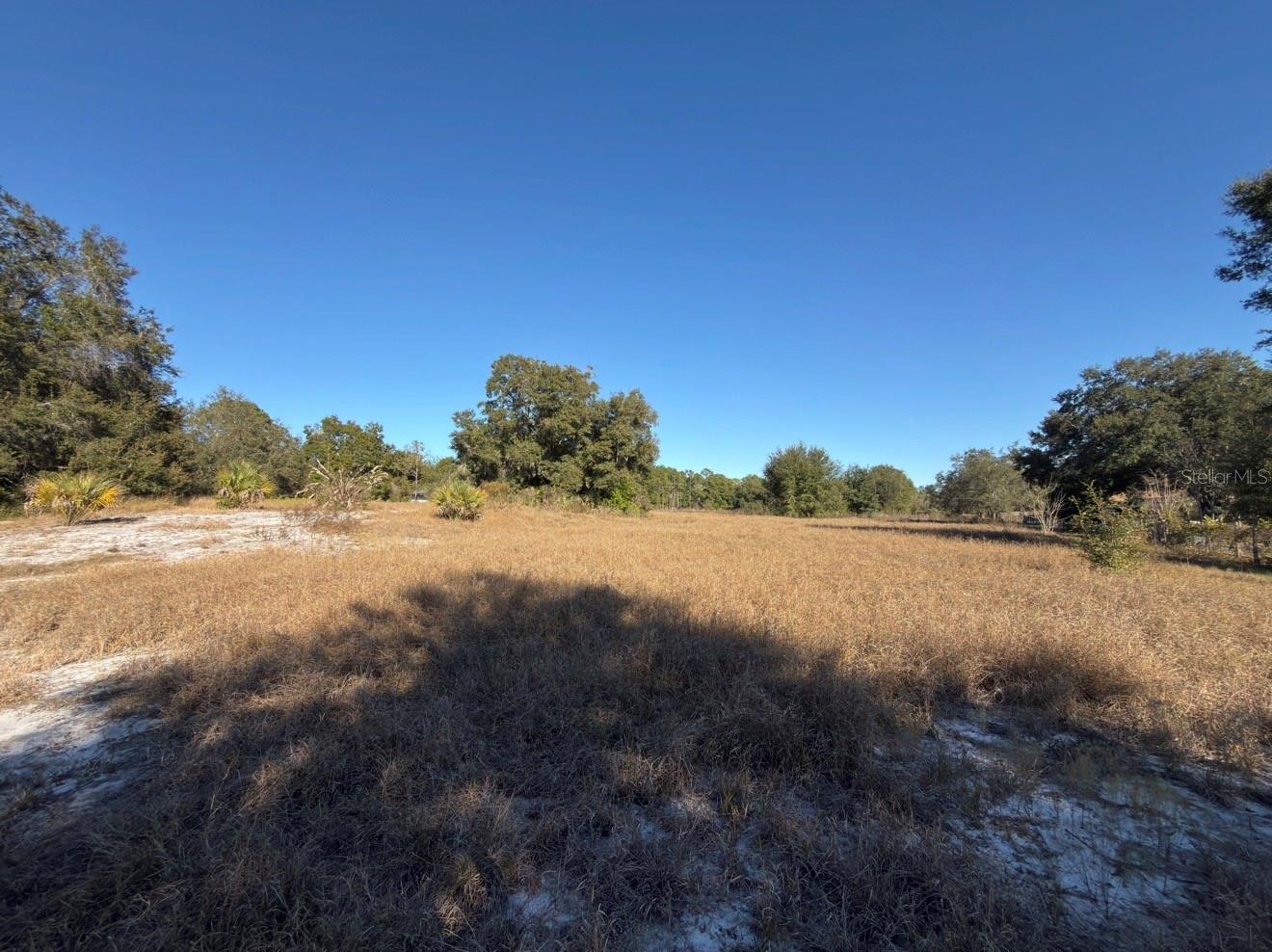 24939 COUNTY ROAD 33, GROVELAND, FL — photo 51