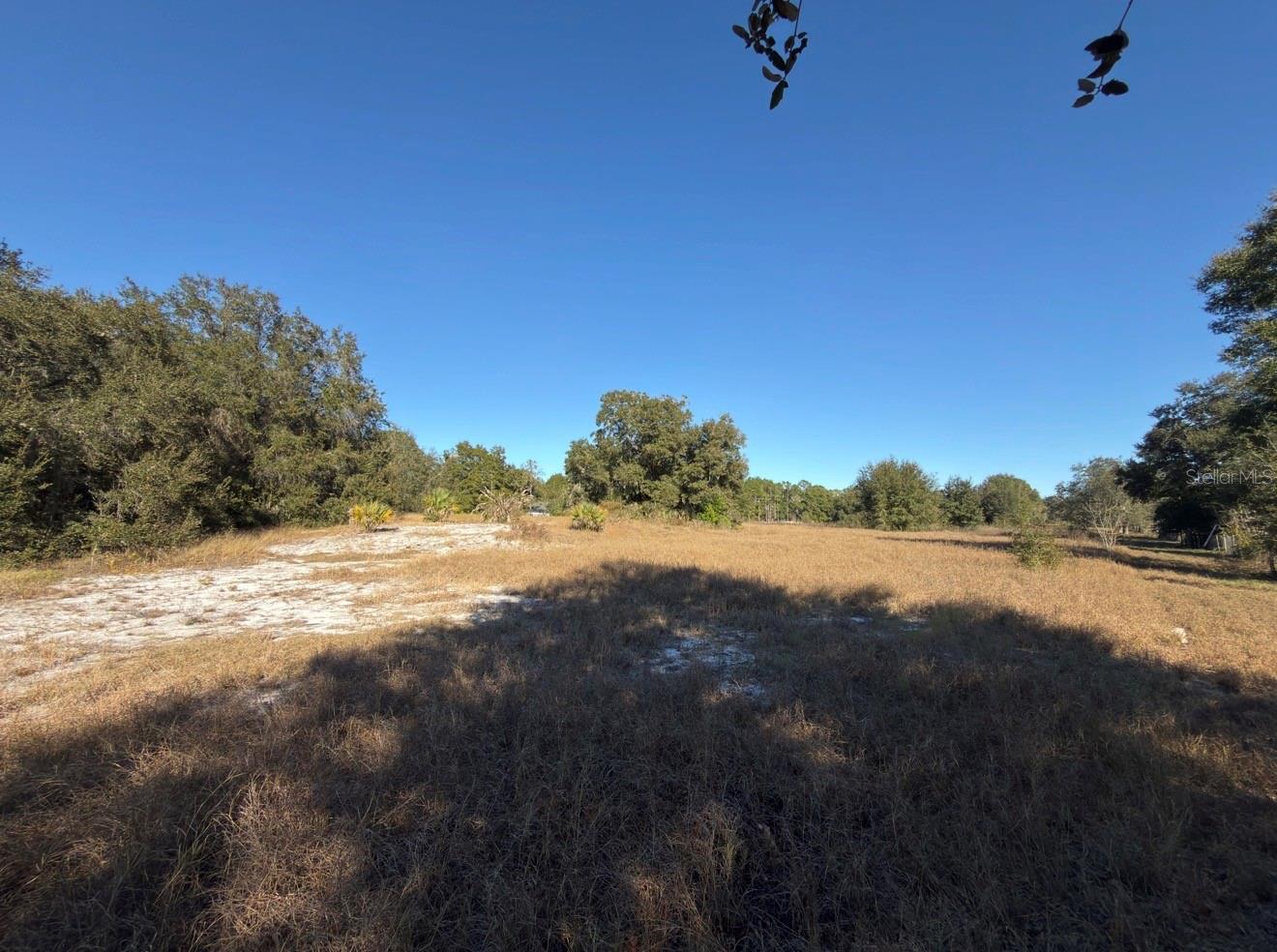 24939 COUNTY ROAD 33, GROVELAND, FL — photo 54