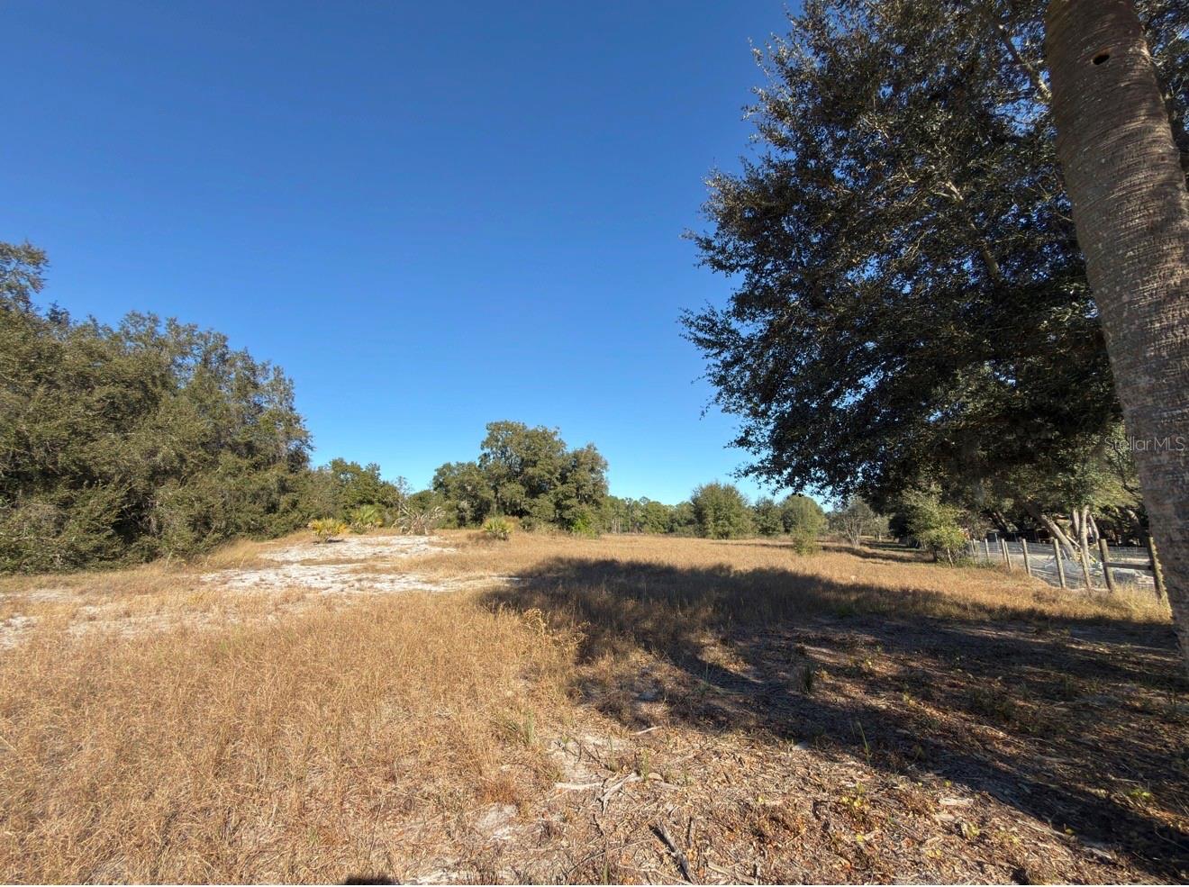 24939 COUNTY ROAD 33, GROVELAND, FL — photo 56